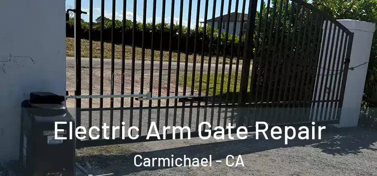 Electric Arm Gate Repair Carmichael - CA