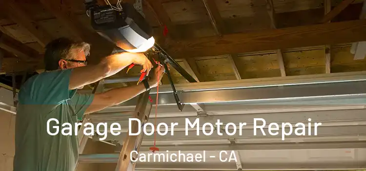  Garage Door Motor Repair Carmichael - CA