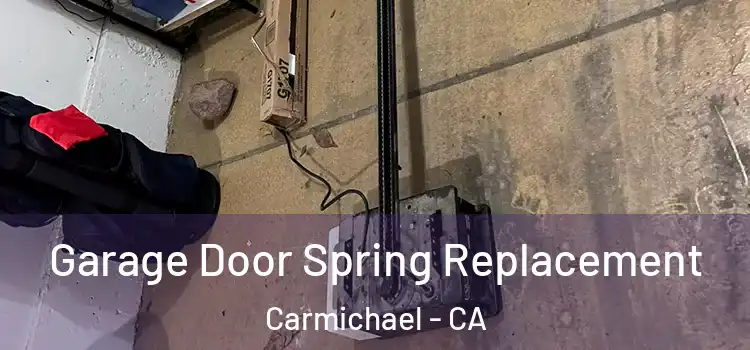  Garage Door Spring Replacement Carmichael - CA