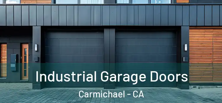  Industrial Garage Doors Carmichael - CA