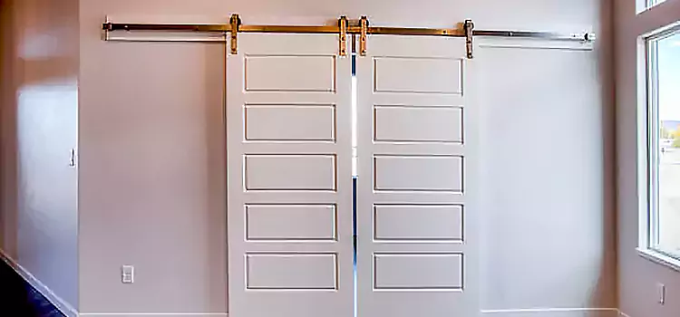 Glass Barn Door with Installation Hardware Kit Carmichael