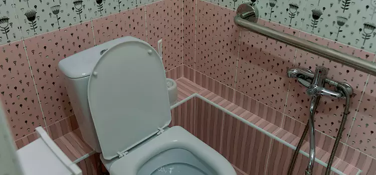 Meeting Diverse Needs With Accessible Restroom Solutions in Carmichael, CA
