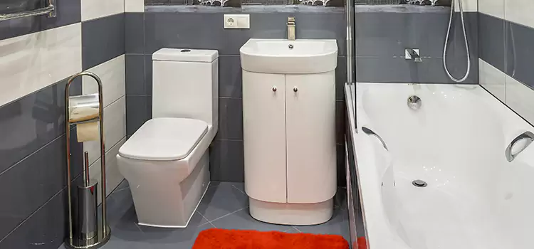 Hansgrohe Shaving Mirror Carmichael