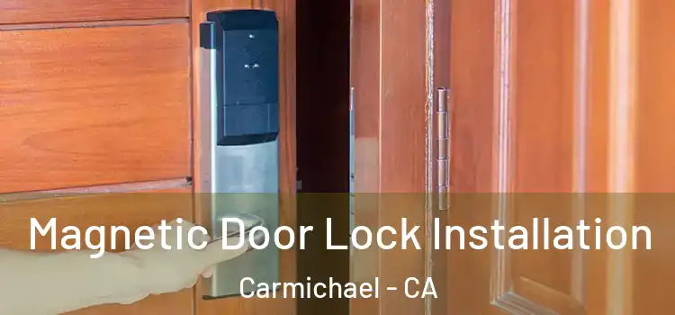  Magnetic Door Lock Installation Carmichael - CA