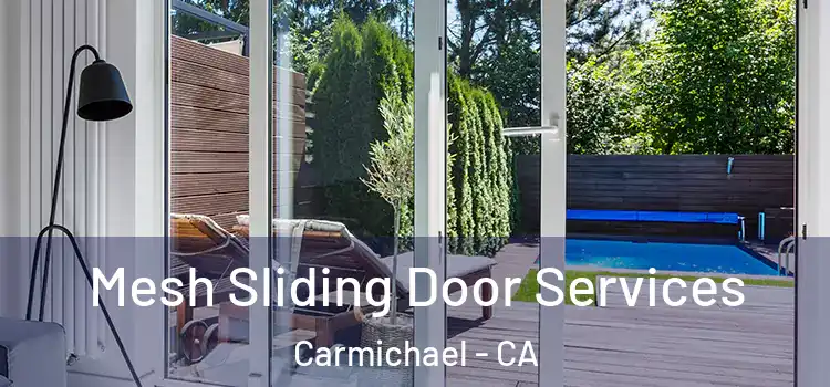 Mesh Sliding Door Services Carmichael - CA